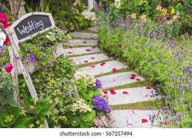 Romantic Path To Wedding Banquet In Beautiful Green Garden