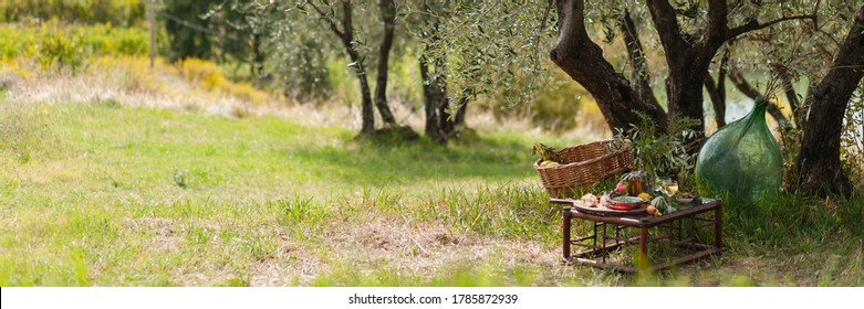 Romantic picnic under olive tree. Delicious italian meal served on a wooden table. Baskets with food, branches in glass jar. Sunny autumn day. Italy, Tuscany. Banner. Copy space - Powered by Shutterstock