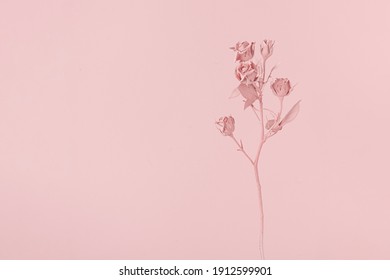 イラスト ピンク花 おしゃれ の写真素材 画像 写真 Shutterstock