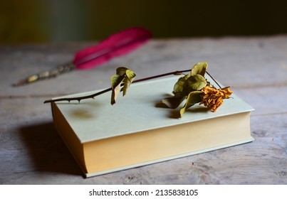 a romantic poetry book with a yellow rose and a red pen