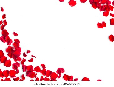 Romantic Red Rose Petals On White Background