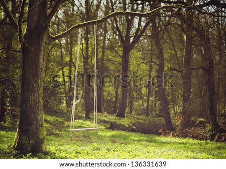 Romantic scene of a single swing hanging from tree branch