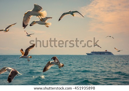 Romantic sea voyage on cruise liner - seascape with flying seagulls and passenger ship on horizon. 