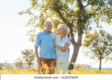 Romantic Senior Couple Holding Hands While Walking Together On A Field In The Countryside In Summer