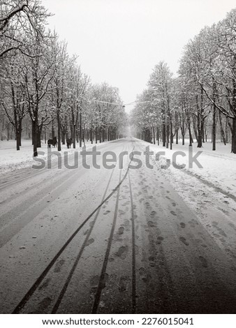 Similar – blow snow Landscape Winter