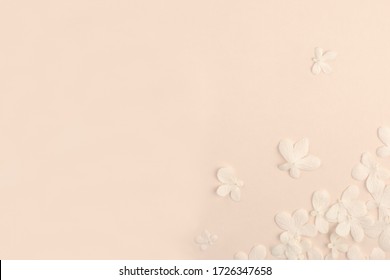  Romantic soft pink background with small white flowers. Modern neutral minimal simple feminine design. Flat lay, copy space, open composition.