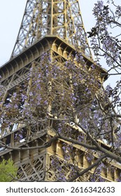 A romantic springtime view of the Eiffel Tower in Paris, partially obscured by blooming paulownia branches with soft purple flowers. The composition combines iconic architecture with delicate natural 