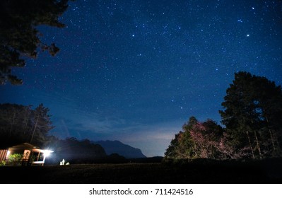 Romantic starry sky night view at forest.  Campsite with spectacular starry sky on with forest and mountain silhouette. - Powered by Shutterstock