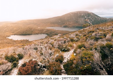 Romantic sun dawn on a bank of countryside lake, plant blossom, warm and cosy countryside backlight header, nature wildernessCradle Mountain in Dove Lake. Cradle Mountain - National Park, Australia