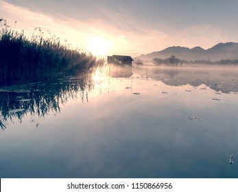 Romantic sunrise reflection  on lake Kochelsee against boathouses. Early summer morning view, Bavaria, Germany - Powered by Shutterstock