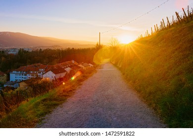 Romantic sunset and Landscape with vineyards in Maribor in Slovenia in Lower Styria in Europe. Nature in spring in Slovenija. Slovenian city in summer. Vine cesta on Piramida or Pyramid hill - Shutterstock ID 1472591822