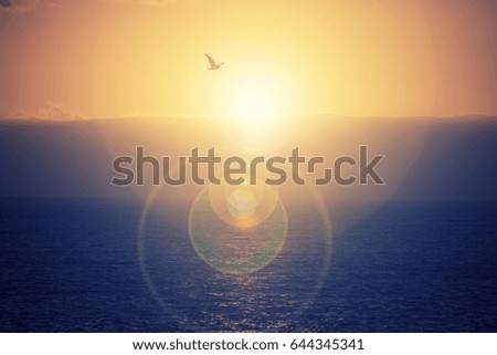 Similar – Image, Stock Photo the downfall Summer Sun