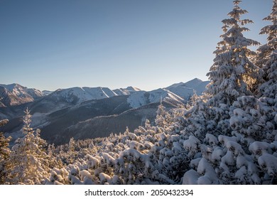 Romantic winter landscape in Tatra Mountains, Poland. Warm light of the rising sun, clear cloudless sky, wintry forest growing on a slope. Selective focus on the ridge, blurred background.