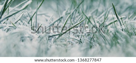 Similar – Image, Stock Photo Winter vs. Spring