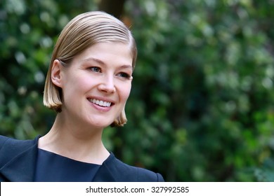 ROME, ITALY - 11 Septemper 2014: Actress Rosamund Pike: Photocall for the movie Gone Girl at the Hotel De Russie in Rome