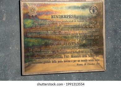 Rome, Italy - August 22, 2020: Italian And English Fao (United Nations Food And Agriculture Organization) Plate Commemorating The Global Eradication Of Rinderpest