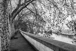 Rome, Lazio Region, Italy: Walk Path Under Trees With Empty Branches By The River Tiber And Castel Sant'Angelo, The Mousoleum Of Hadrian In Hadrian Park (Adriano)