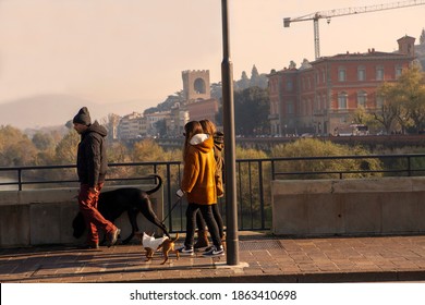 Rome Street Dogs And People Walking. Rome,Italy 2013.12.08