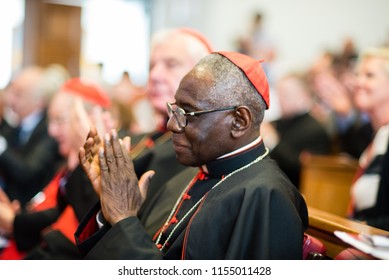 20 Pontifical University Of Saint Thomas Aquinas Images, Stock Photos ...