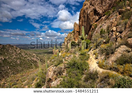 Romero trail in Santa Catalina Mountains near Tucson Arizona.