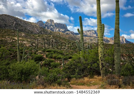 Romero trail in Santa Catalina Mountains near Tucson Arizona.