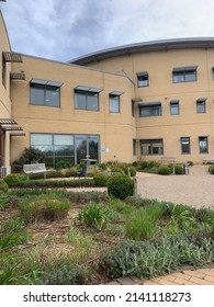 Romford, Essex, UK - 31 March 2022: The Lavender Garden In The Grounds Of Queens Hospital.