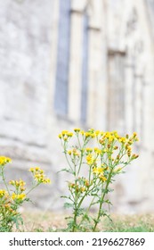 Romsey Abbey Hampshire United Kingdom