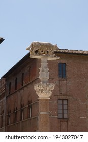 Romulus And Remus Statue At Plaza Tolomei In Siena, Italy