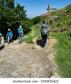 11 Col de lepoeder Images, Stock Photos & Vectors | Shutterstock