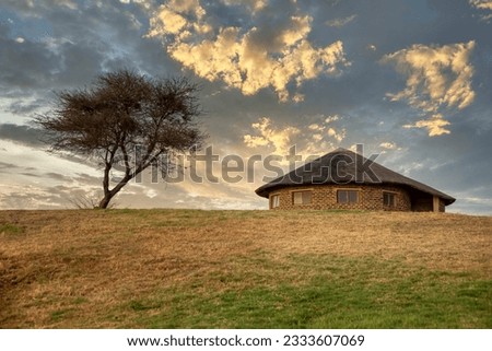 rondavel african house with thatched roof and a solitaire tree