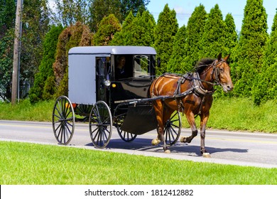 Ronks, PA, USA - August 30, 2020: An Amish buggy travels on a rural road in Lancaster County.