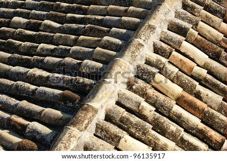 Image, Stock Photo #A# Roof growth Esthetic