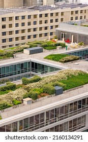 Roof Garden Downtown City Bordeaux In Southwest Of France, View From Wine Museum.