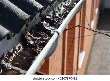 Roof gutter cleaning in spring. A close-up of a clogged, dirty roof gutter, with wet fallen leaves and dirt while snow melting. 