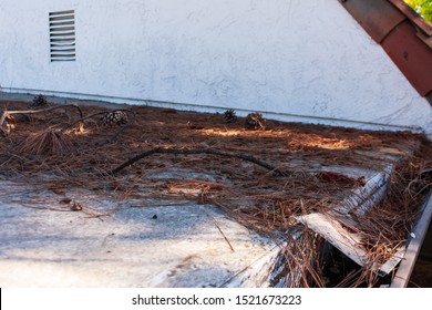 Roof gutter clogged with leaves, pine needles and debris. Damaged plastic mesh gutter guard and leaf screen. Rain gutter inspection, cleaning and maintenance is required to prevent clogged gutters.