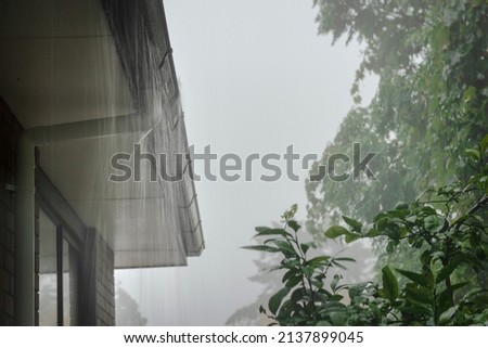 Image, Stock Photo Focus on the façade Facade