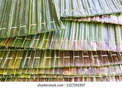 Roof House Made Dry Nipa Palm Stock Photo 1227291907 | Shutterstock