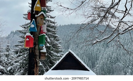 the roof of the house on the background of the winter forest and mountains.