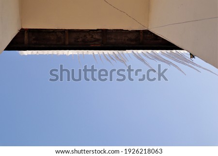 Similar – Weeds Growing in a Blocked Suburban House Rain Gutter