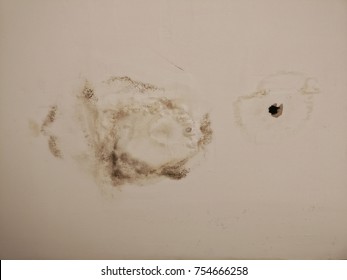 Imagenes Fotos De Stock Y Vectores Sobre Damp Ceiling