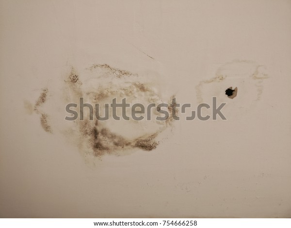 Roof Leak Water Damaged Ceiling Stock Photo Edit Now 754666258