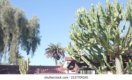 Roof of old house tiled, terracotta ceramic clay tiles. Mexican or spanish colonial mediterranean style, rural garden. Provincial village, countryside rustic ranch in greenery. Suburban California.