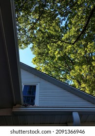 Roof Peak With Large Tree Above