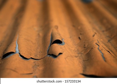 Roof Shingles