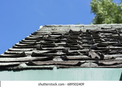 Roof Shingles