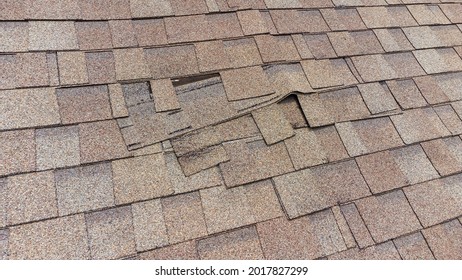 Roof Shingles damaged and in need of repair