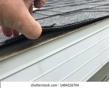 Roof Showing Hail Damage Inspection