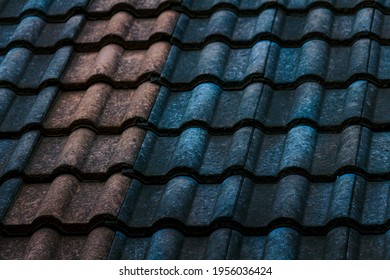 Roof Tiles On Vincent's House Next Door