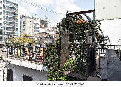 The Roof Top Of A Cafe Made By Renewing An Old Shoe Factory. Taken On April 10, 2020 At The Anthracite Cafe In Hapjeong-dong, Mapo-gu, Seoul.