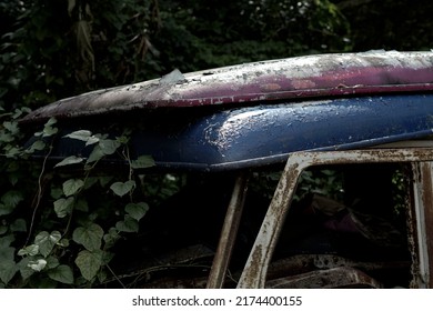 the roof top of the car is abandoned among the bushes - Powered by Shutterstock